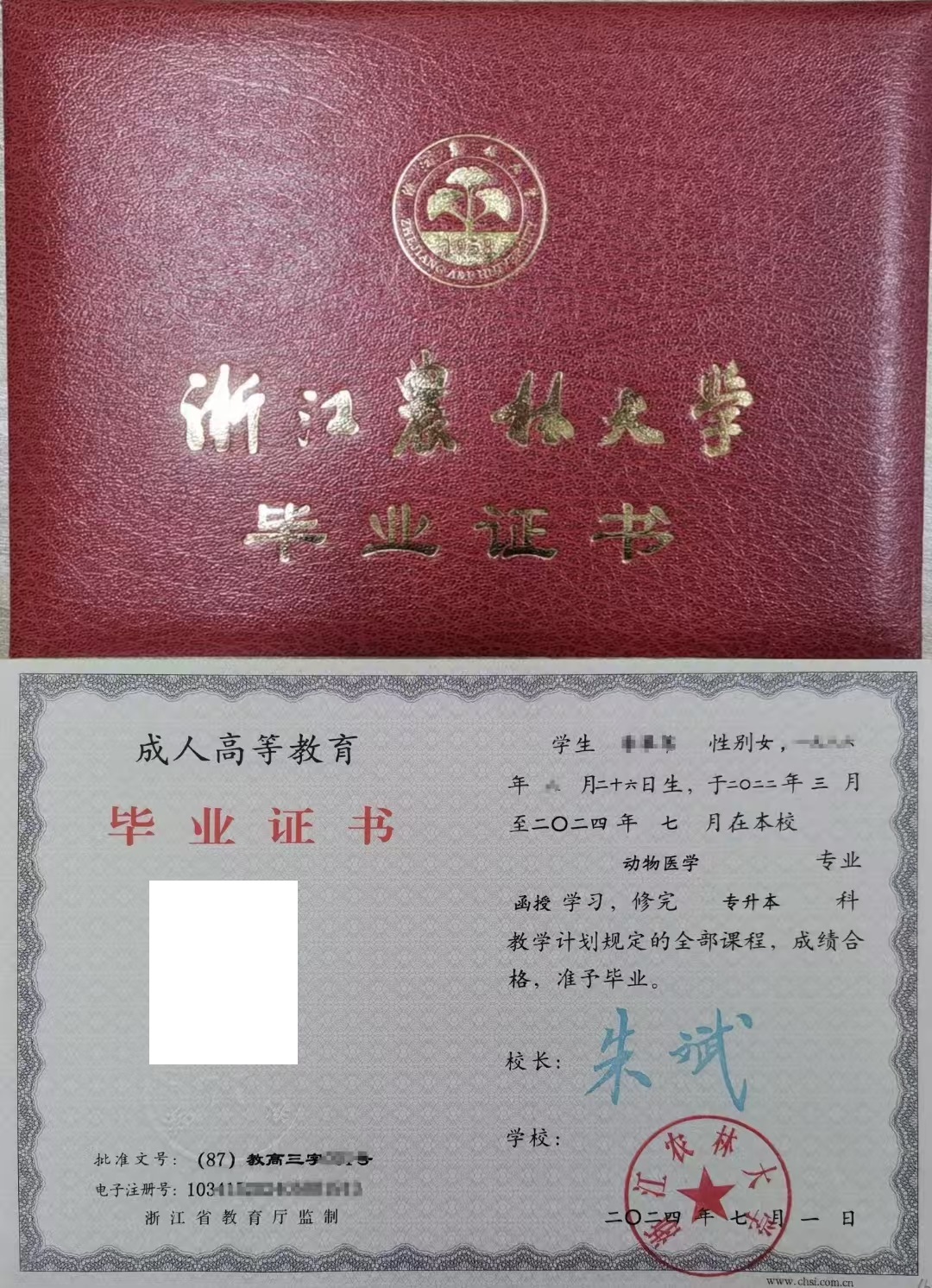 浙江农林大学.jpg